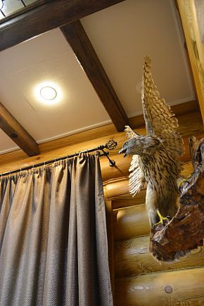 Охотничий дом